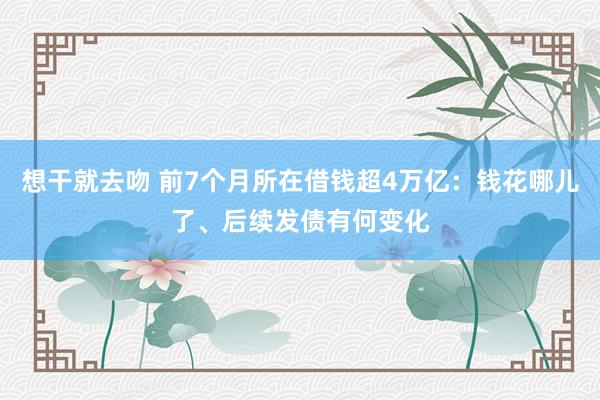 想干就去吻 前7个月所在借钱超4万亿：钱花哪儿了、后续发债有何变化