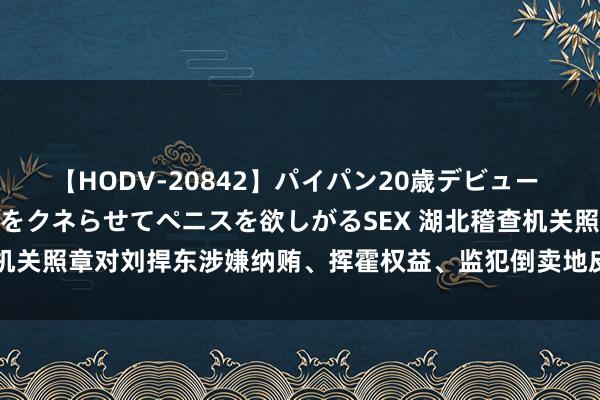 【HODV-20842】パイパン20歳デビュー 望月あゆみ 8頭身ボディをクネらせてペニスを欲しがるSEX 湖北稽查机关照章对刘捍东涉嫌纳贿、挥霍权益、监犯倒卖地皮使用权案拿起公诉