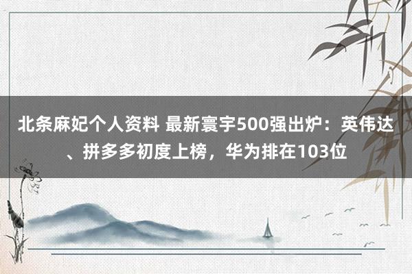 北条麻妃个人资料 最新寰宇500强出炉：英伟达、拼多多初度上榜，华为排在103位