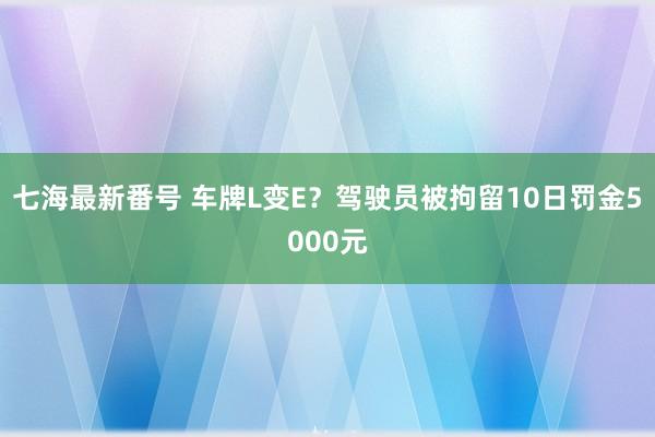 七海最新番号 车牌L变E？驾驶员被拘留10日罚金5000元