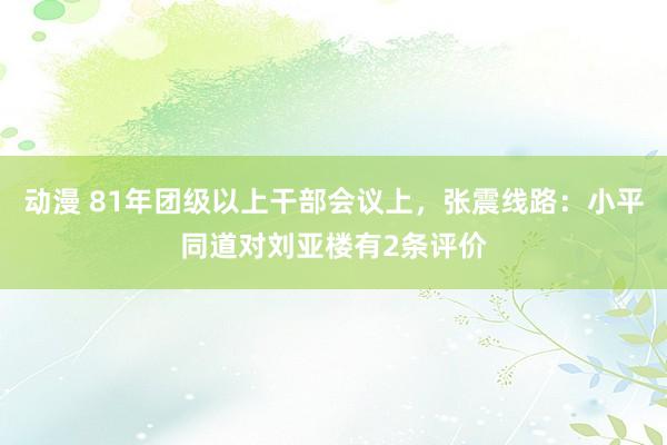 动漫 81年团级以上干部会议上，张震线路：小平同道对刘亚楼有2条评价