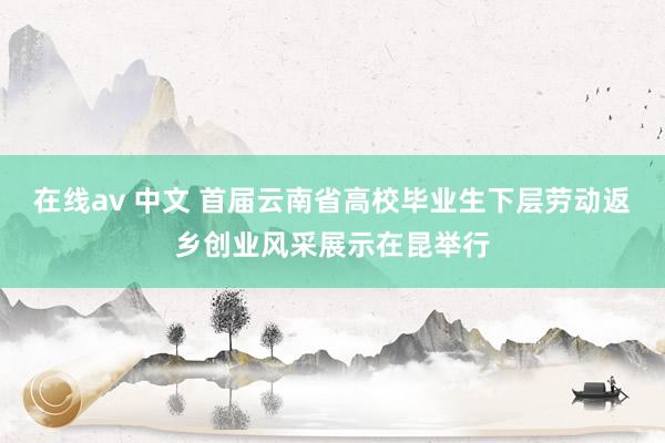 在线av 中文 首届云南省高校毕业生下层劳动返乡创业风采展示在昆举行