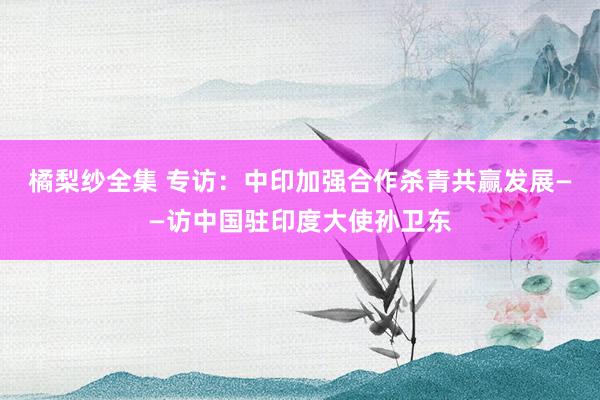 橘梨纱全集 专访：中印加强合作杀青共赢发展——访中国驻印度大使孙卫东
