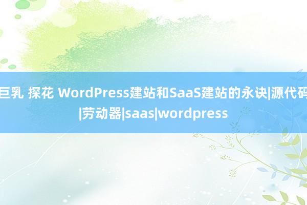 巨乳 探花 WordPress建站和SaaS建站的永诀|源代码|劳动器|saas|wordpress