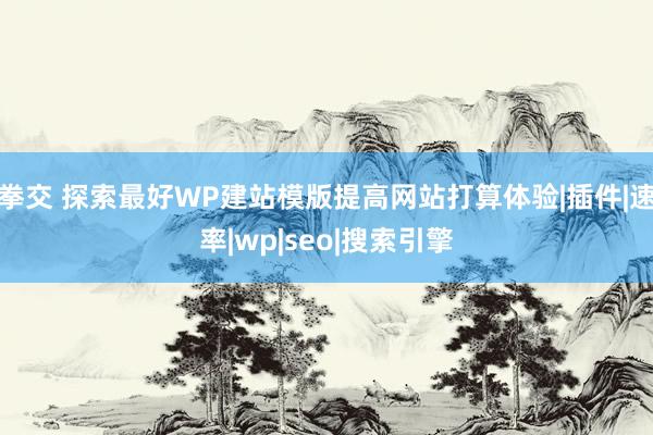 拳交 探索最好WP建站模版提高网站打算体验|插件|速率|wp|seo|搜索引擎