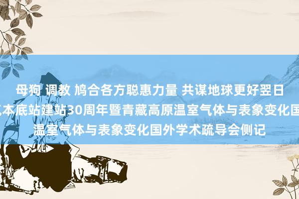 母狗 调教 鸠合各方聪惠力量 共谋地球更好翌日——瓦里关群众大气本底站建站30周年暨青藏高原温室气体与表象变化国外学术疏导会侧记