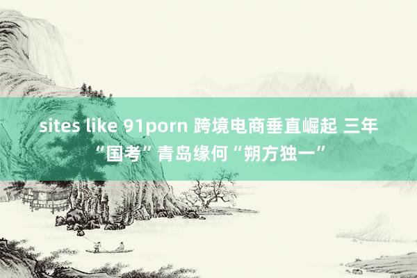 sites like 91porn 跨境电商垂直崛起 三年“国考”青岛缘何“朔方独一”