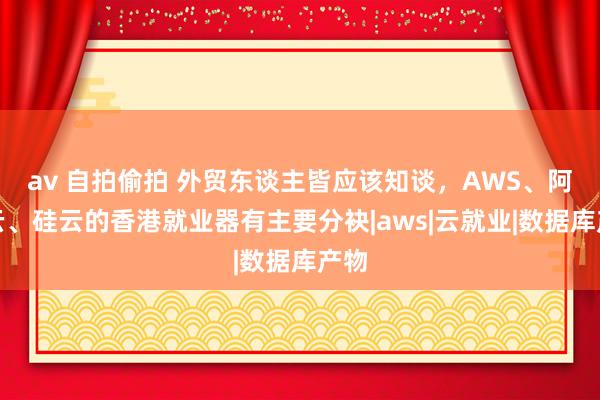 av 自拍偷拍 外贸东谈主皆应该知谈，AWS、阿里云、硅云的香港就业器有主要分袂|aws|云就业|数据库产物