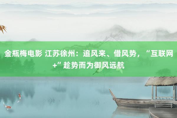 金瓶梅电影 江苏徐州：追风来、借风势，“互联网+”趁势而为御风远航