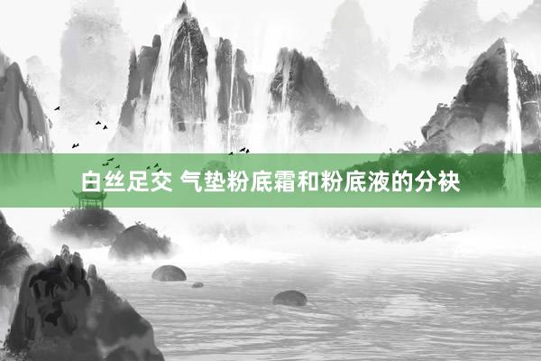 白丝足交 气垫粉底霜和粉底液的分袂