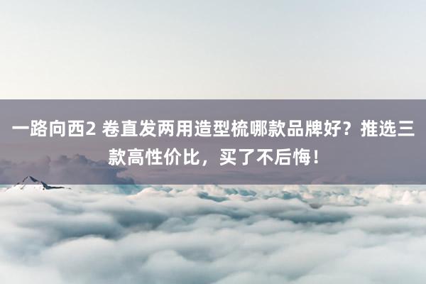 一路向西2 卷直发两用造型梳哪款品牌好？推选三款高性价比，买了不后悔！