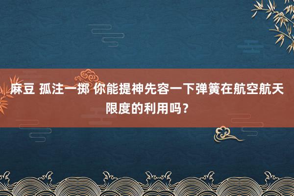 麻豆 孤注一掷 你能提神先容一下弹簧在航空航天限度的利用吗？