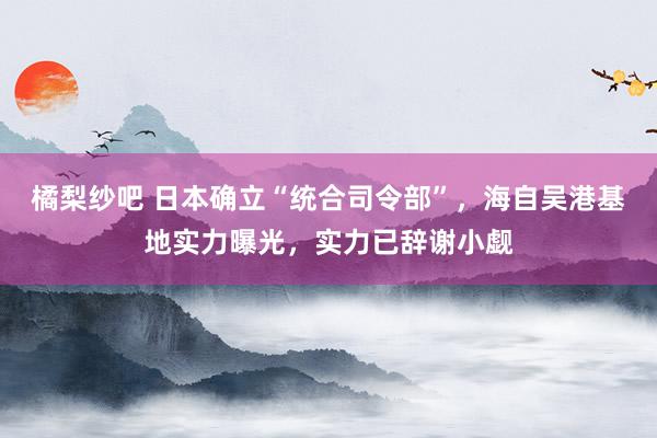 橘梨纱吧 日本确立“统合司令部”，海自吴港基地实力曝光，实力已辞谢小觑