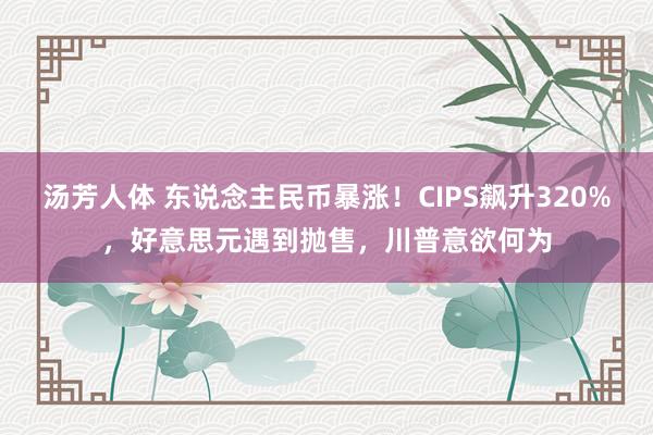 汤芳人体 东说念主民币暴涨！CIPS飙升320%，好意思元遇到抛售，川普意欲何为