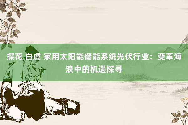 探花 白虎 家用太阳能储能系统光伏行业：变革海浪中的机遇探寻