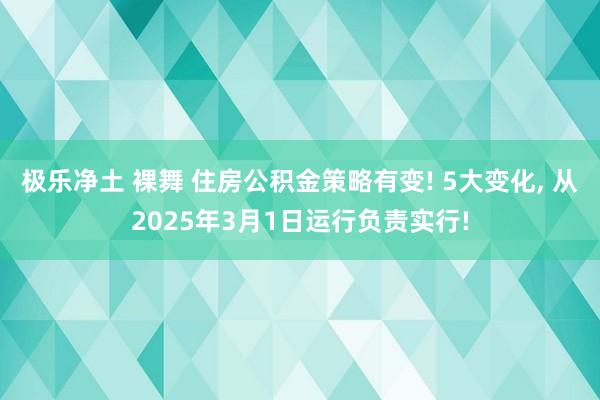 极乐净土 裸舞 住房公积金策略有变! 5大变化, 从2025年3月1日运行负责实行!
