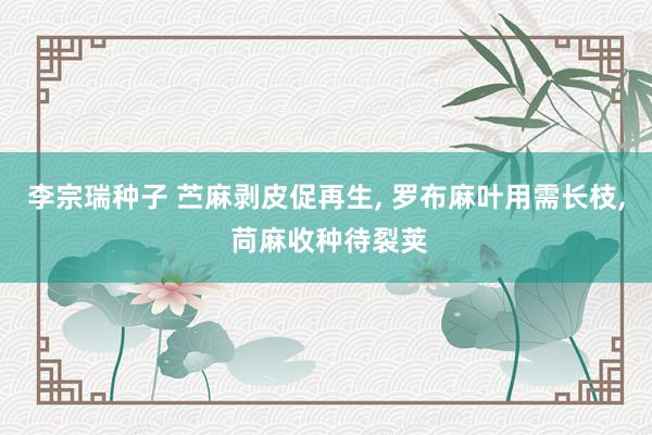 李宗瑞种子 苎麻剥皮促再生, 罗布麻叶用需长枝, 苘麻收种待裂荚