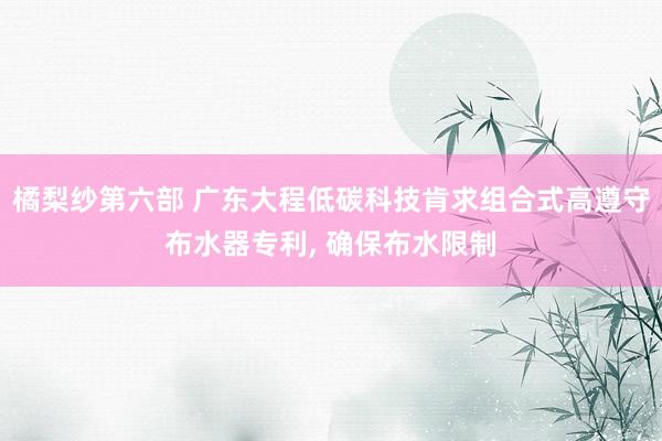 橘梨纱第六部 广东大程低碳科技肯求组合式高遵守布水器专利, 确保布水限制