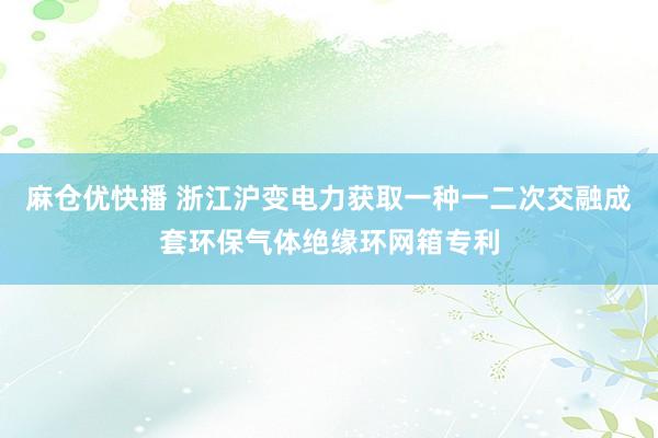麻仓优快播 浙江沪变电力获取一种一二次交融成套环保气体绝缘环网箱专利