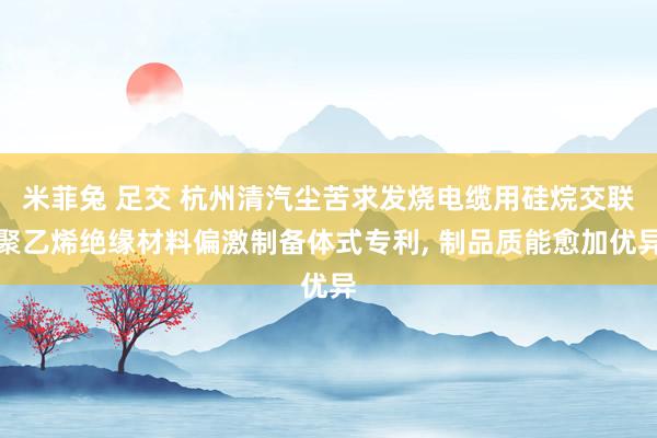 米菲兔 足交 杭州清汽尘苦求发烧电缆用硅烷交联聚乙烯绝缘材料偏激制备体式专利, 制品质能愈加优异