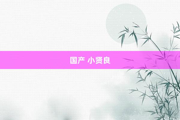 国产 小贤良