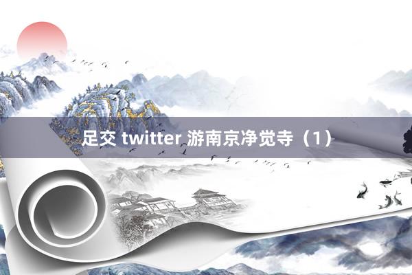 足交 twitter 游南京净觉寺（1）
