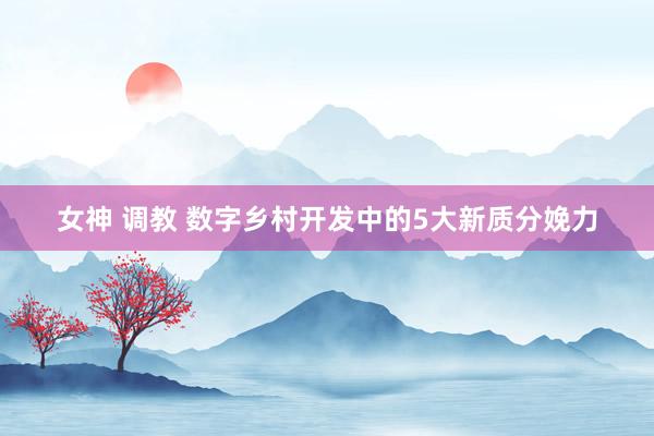 女神 调教 数字乡村开发中的5大新质分娩力