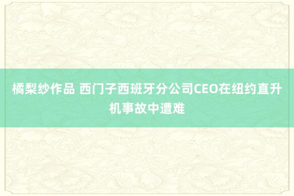 橘梨纱作品 西门子西班牙分公司CEO在纽约直升机事故中遭难