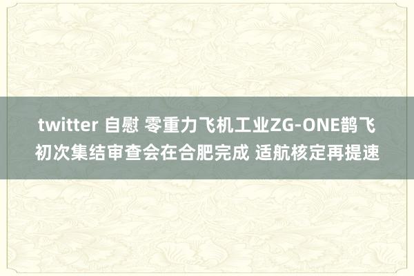 twitter 自慰 零重力飞机工业ZG-ONE鹊飞初次集结审查会在合肥完成 适航核定再提速