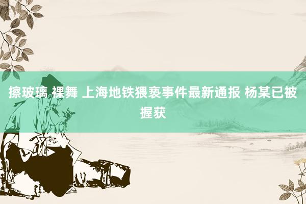 擦玻璃 裸舞 上海地铁猥亵事件最新通报 杨某已被握获
